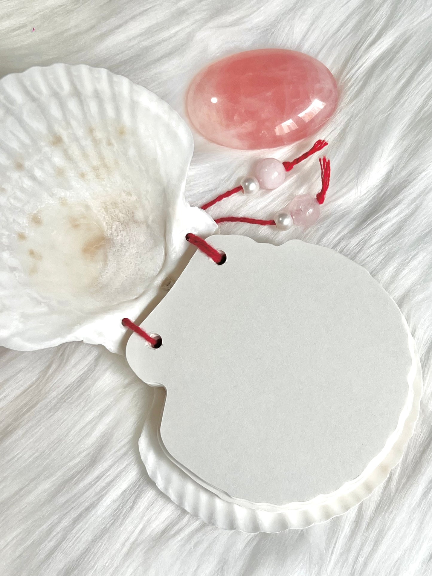 Hand Binded Seashell Grimoire