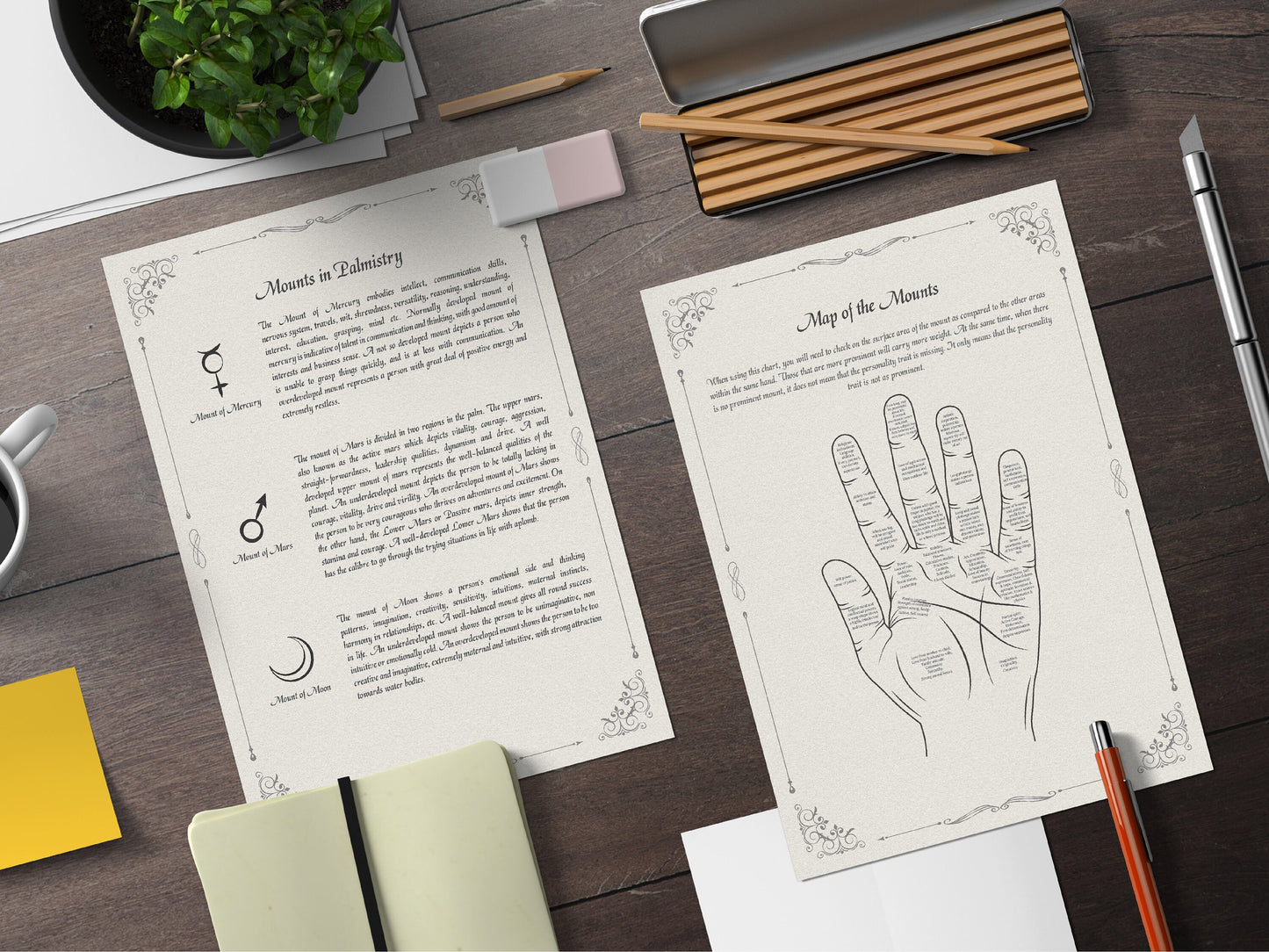 Palmistry Grimoire, Basics Of Palm Reading, Witch Journal Grimoire Pages, Book Of Shadows Pages, Palm Reading Guide, Beginner Palmistry