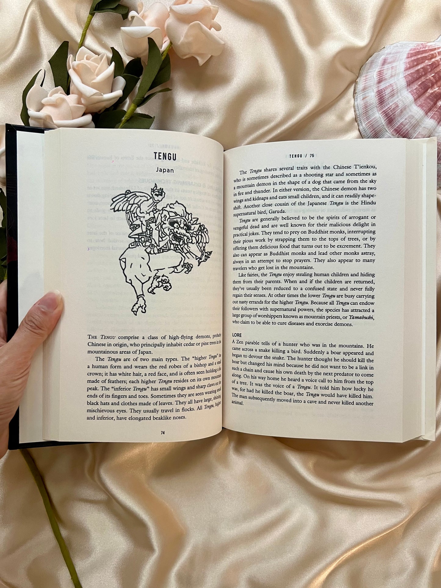 A Field Guide To Demons, Vampires, Fallen Angels and Other Subversive Spirits by Carol K. Mack & Dinah Mack