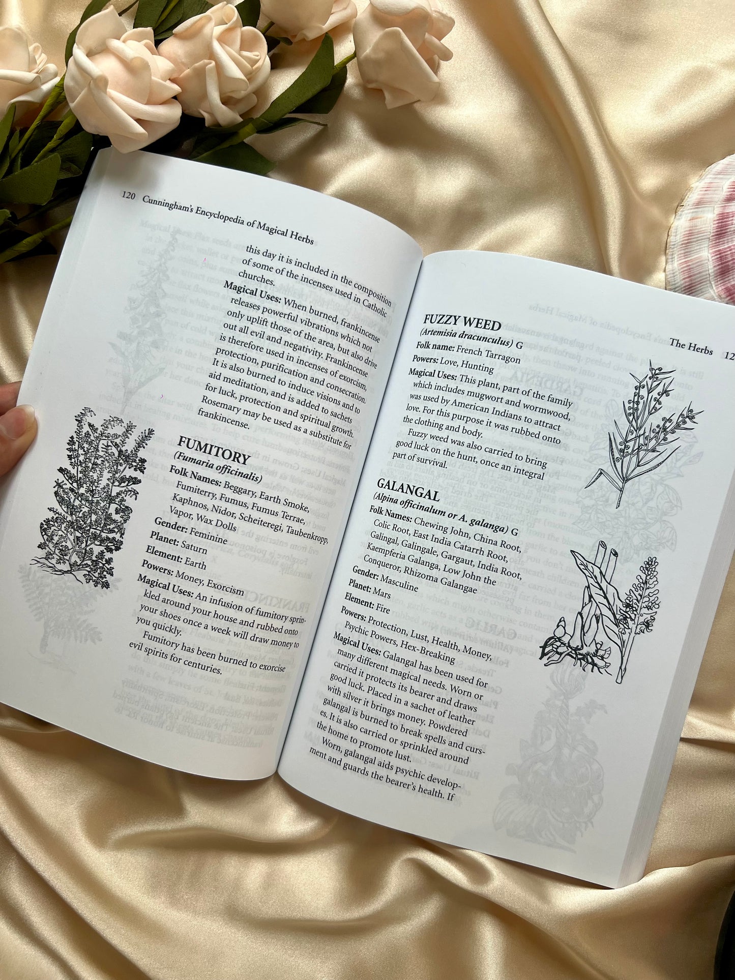 Cunningham’s Encyclopedia Of Magical Herbs by Scott Cunningham