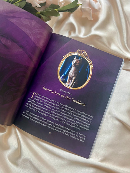 The Beauty Witch Secrets by Alise Marie